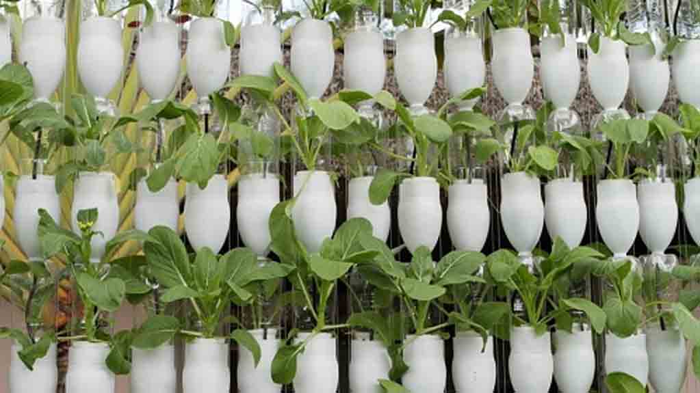 Kementan Dukung Pengembangan Pertanian di Lahan Kota