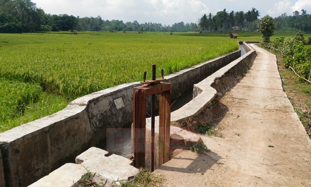 Infrastruktur Pertanian Di Indonesia