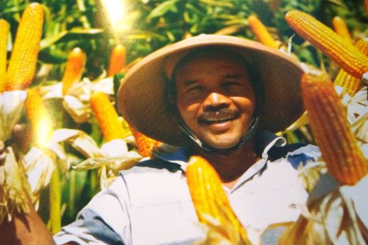 Teknologi Baru Punya Peran dalam Ketahanan Pangan