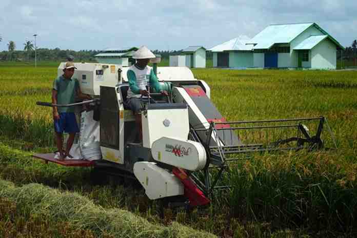 Pemerintah Genjot Industri Pengembang Sektor Pertanian