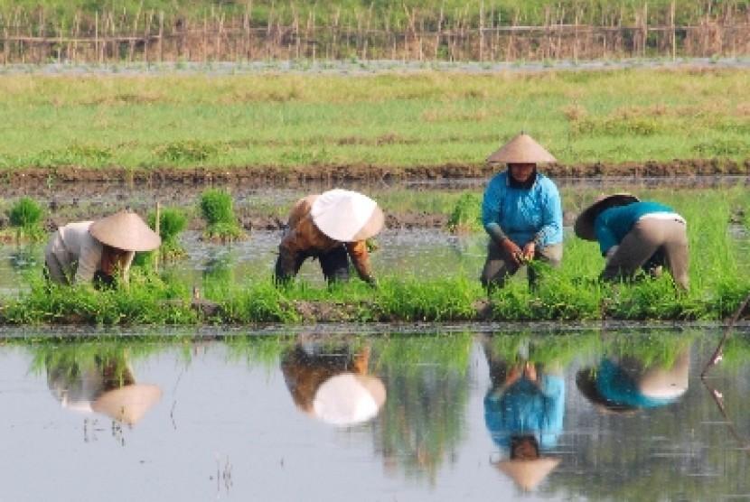 Distribusi Subsidi Mesti Dievaluasi 