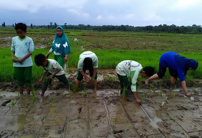 Belajar Menghargai Petani, Siswa Turun ke Sawah 