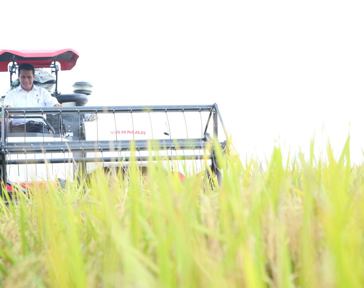 Metamorfosa Desa Majasari, dari Lumbung TKI Jadi Sentra Sapi, Mentan: Luar Biasa! 