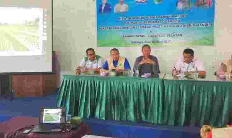 Gali Potensi Agro Bisnis Bawang Merah di OI