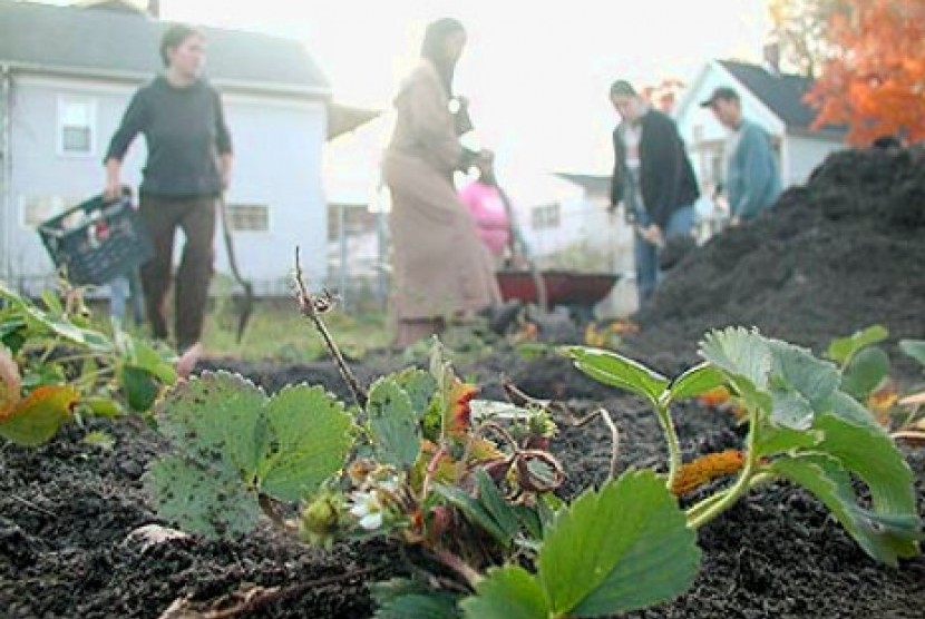 Peradaban Islam Pelopor Revolusi Hijau