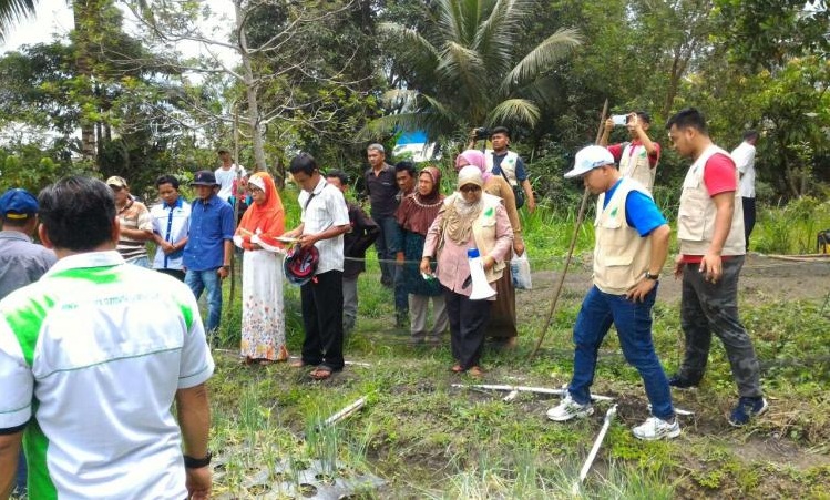 Wujudkan Agro Bisnis Mandiri, Langsung Pantau Kebun Bawang Merah