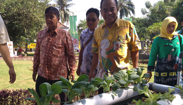 Pertanian Masuk Kota Hasilnya Luar Biasa 