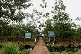 Indonesia akan Bangun Pusat Ekosistem Gambut Tropis 