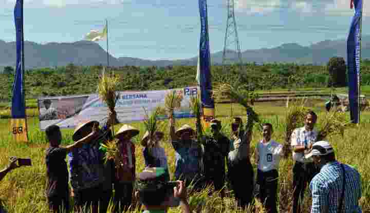 Petani Lebih Sejahtera dengan Pertanian Selaras Alam 