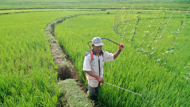 Peluang Pertanian Indonesia di Forum WTO 'Zaman Now'