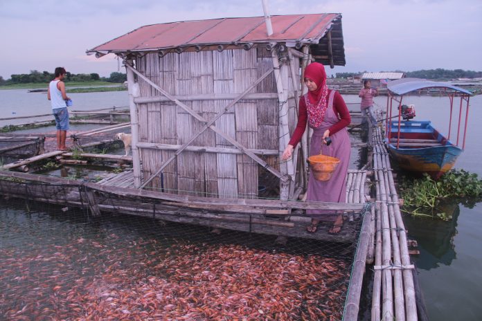 ITS Kembangkan Pakan Ikan Dari Limbah Ikan