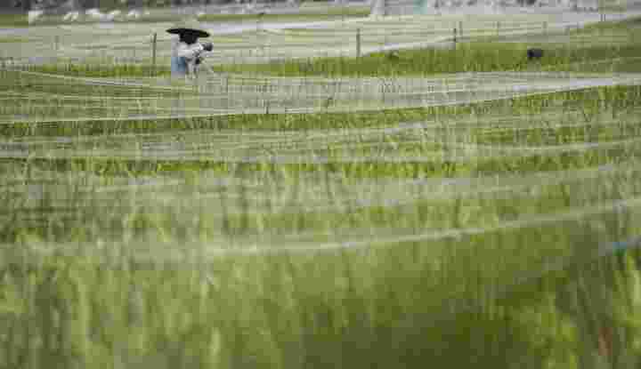 Mengupayakan Kemandirian Pemenuhan Kebutuhan Pokok