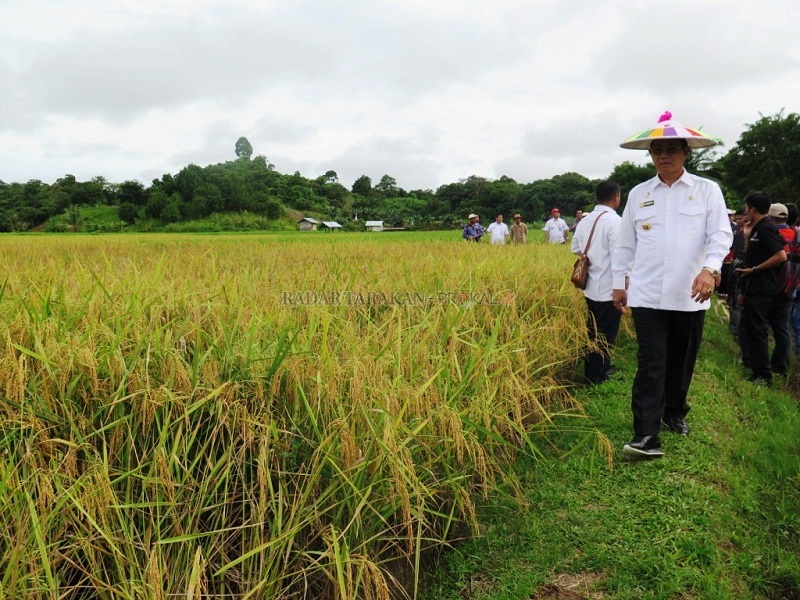 Bentuk Kader Pemandu Tani di 8 Desa 