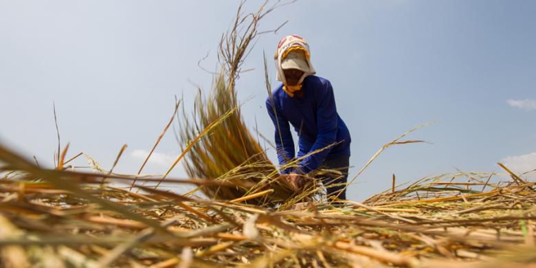 Menyayangi dan Menyayangkan Desa