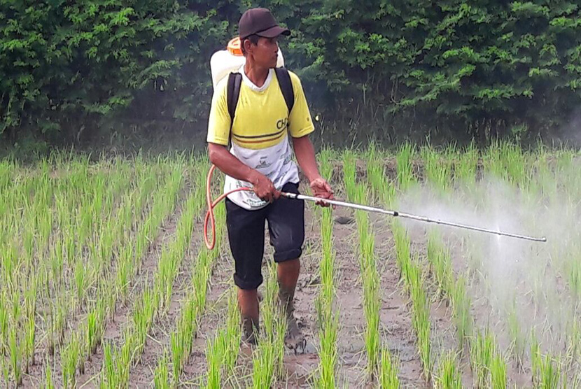 Tak Hanya soal Keagamaan, Santri Perlu Dibekali Ilmu Pertanian 