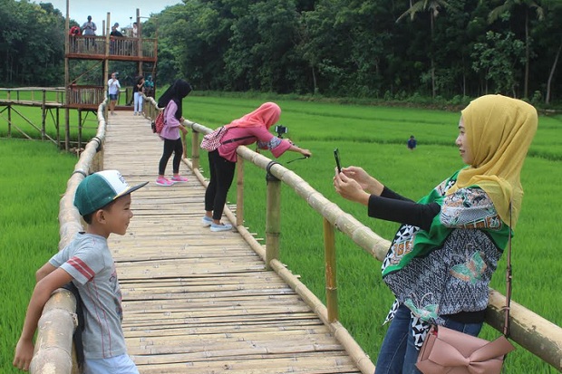 Kreatif, Area Persawahan Disulap Jadi Lokasi Selfie