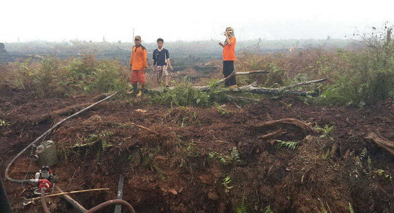 Alih Fungsi Lahan Pertanian Bisa Dicegah dengan Memperketat Regulasi