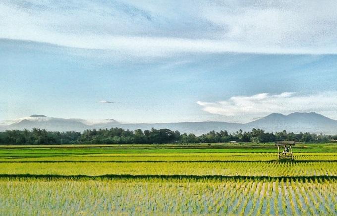 Situbondo Kini Punya Wisata Edukasi Kampung Organik