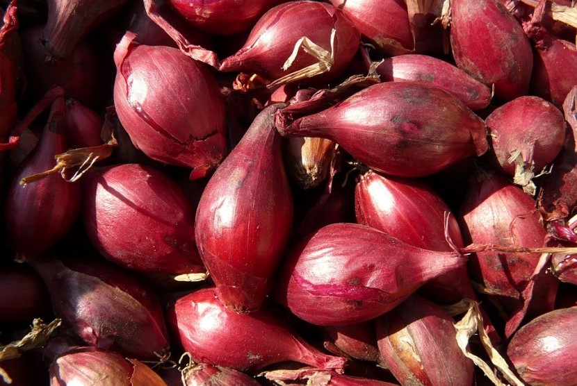 Petani tak Nikmati Tingginya Harga Bawang Merah