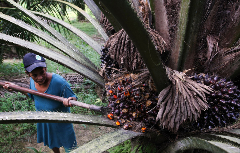 Saham Sektor Agribisnis Akan Bersinar di 2018