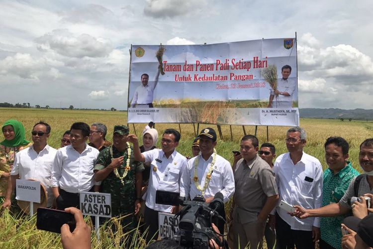 Harga Gabah di Petani Turun tapi Harga Beras Naik, Apa Kata Menteri Pertanian?