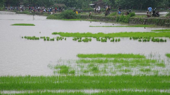'Satelit LAPAN Bisa Petakan Area Pertanian dan Objek Pajak'