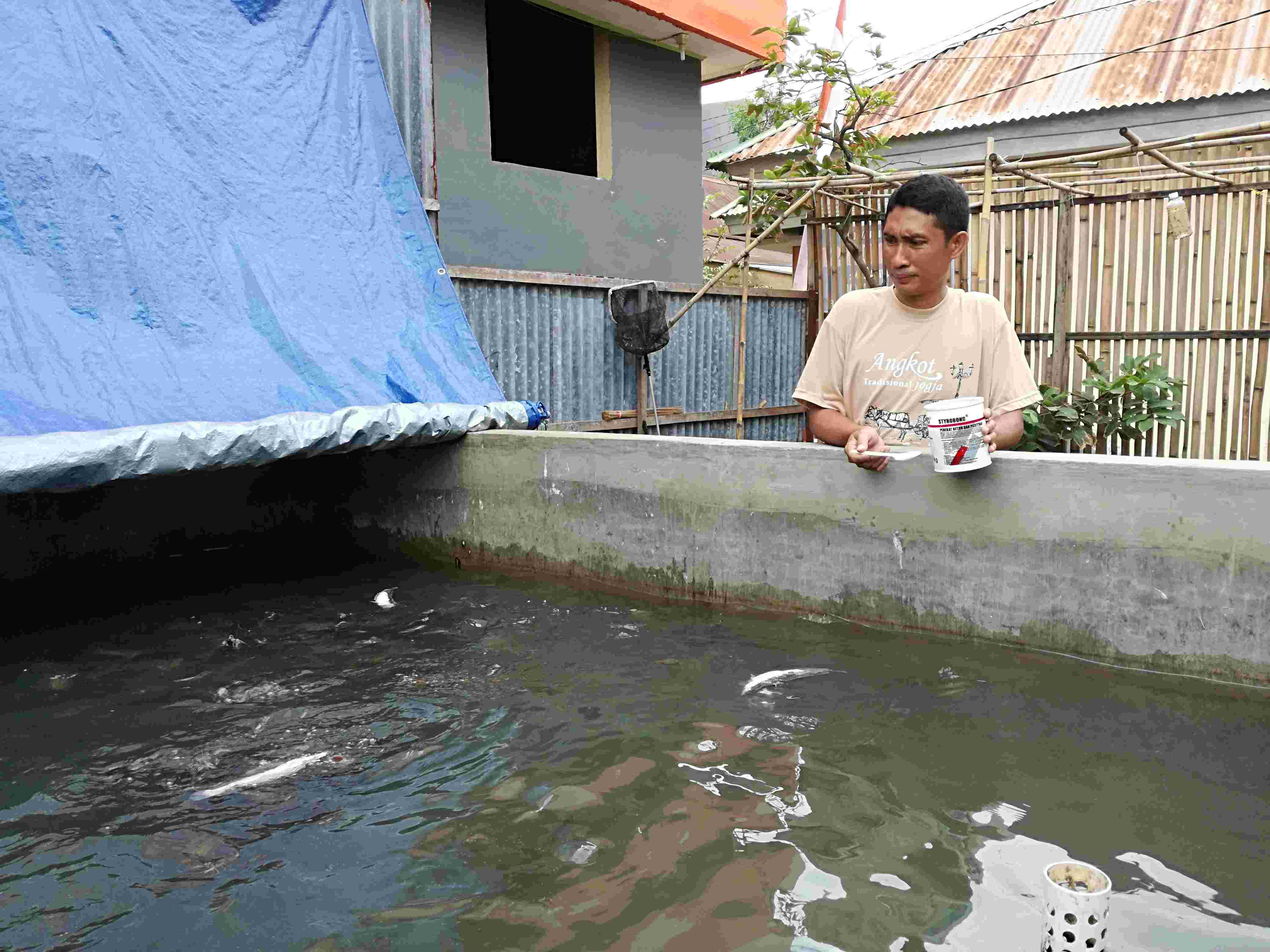 Budidaya Ikan dan Bertani di Lahan Sempit. Seperti Apa?