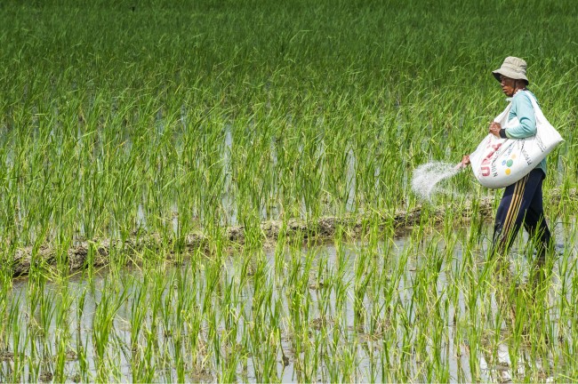 Pemanfaatan Lahan Tidur Bisa Menghentikan Impor