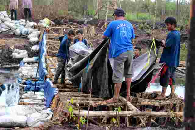 Fasilitator Desa Didorong Jadi Ujung Tombak Program Restorasi Gambut
