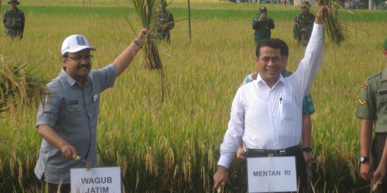 Bantu Petani, Kementan Bentuk Tim Serap Gabah
