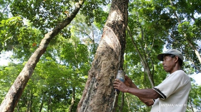 Kemperin kembangkan nilai tambah karet alam lewat penelitian