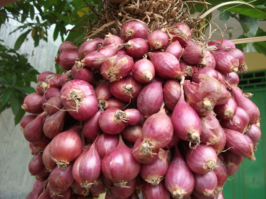 Harga bawang kembali naik di Palu
