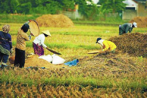 Kedaulatan Pangan Jadi Insentif Investasi Industri Makanan