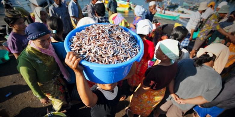 Koperasi Didorong Menjadi Penyelenggara Pelelangan Ikan