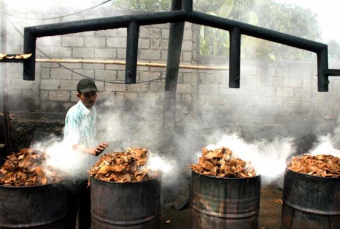 Inovasi Kepala Desa Batu Ampar Ini Keren
