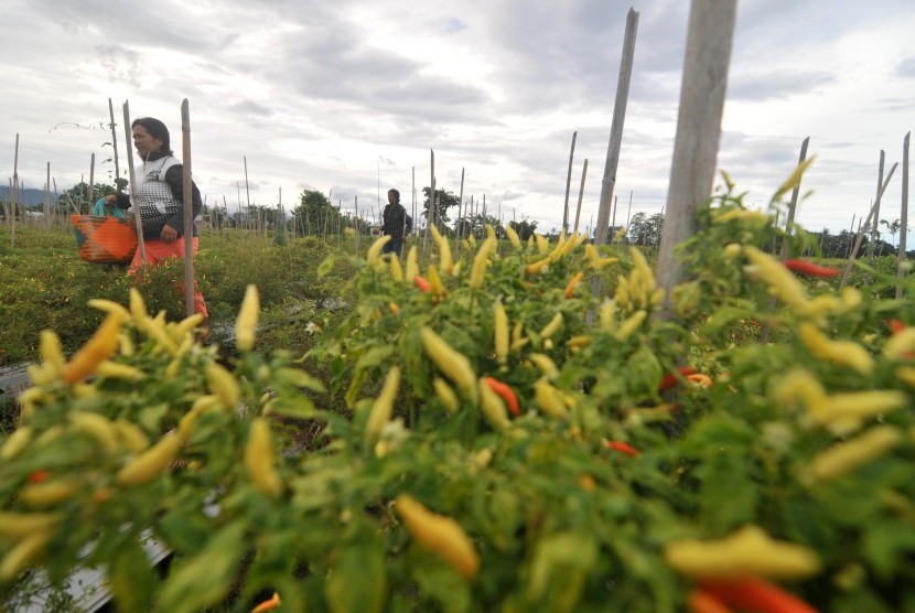 Membangun Desa Melalui Pertanian