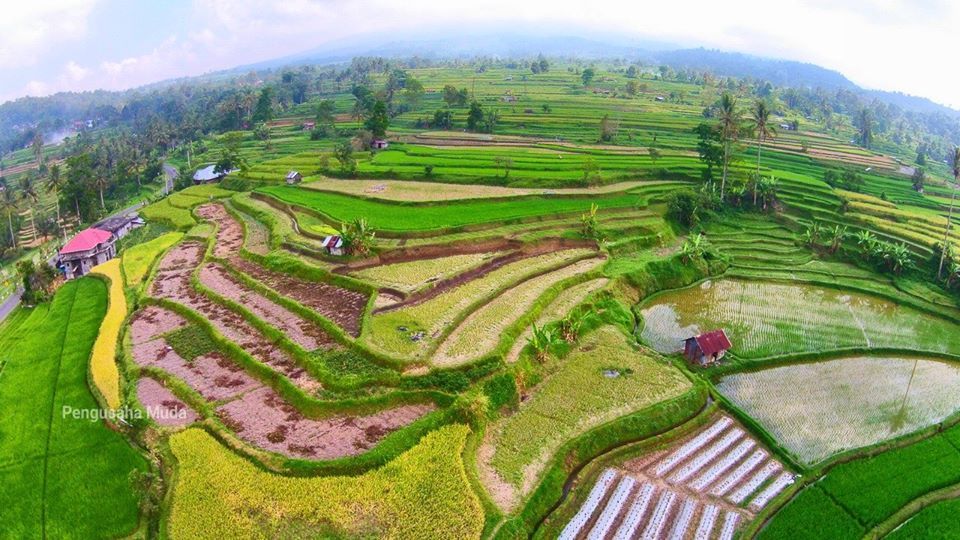 Sepuluh Desa Wisata Terbaik Versi Pemerintah