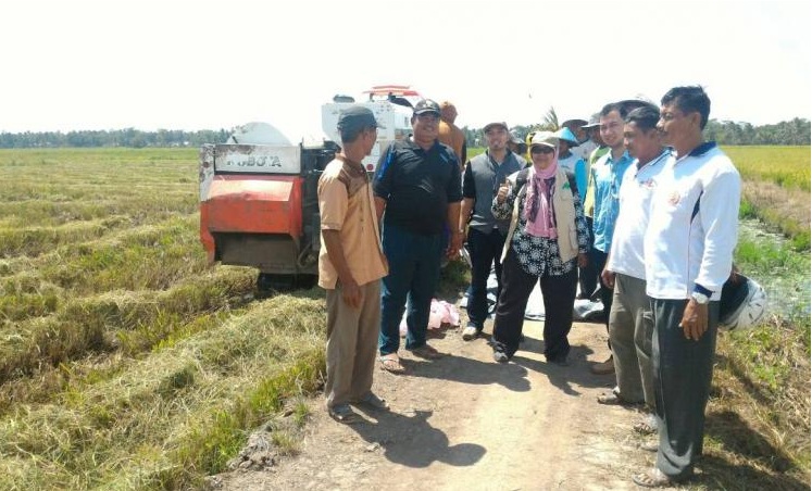 Pengelolaan Pertanian Harus Utamakan Aspek Lingkungan