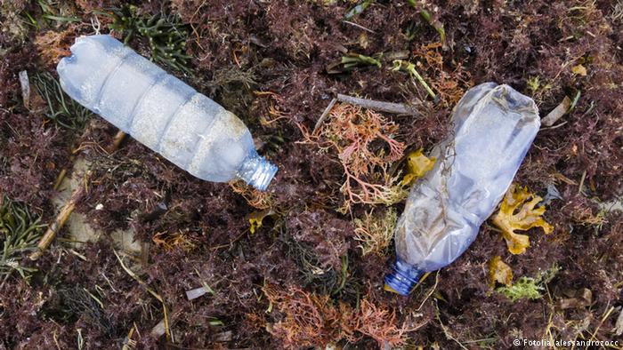 Memanfaatkan Botol Bekas Untuk Berkebun