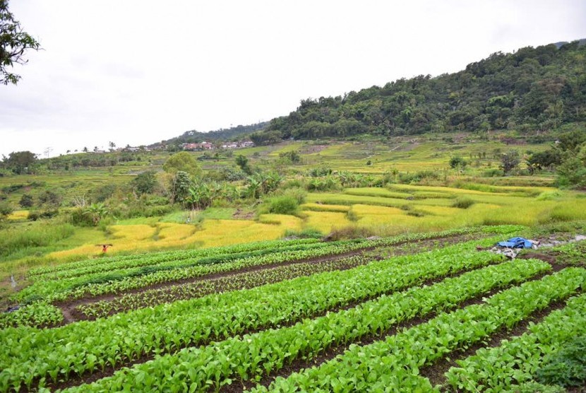 Dana Desa Dorong Desa Wisata Ini Makin Dikenal Publik