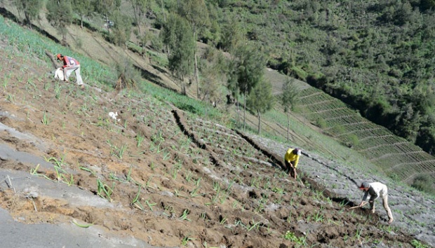 Akademisi Dorong Pemerintah Lakukan Terobosan Reforma Agraria