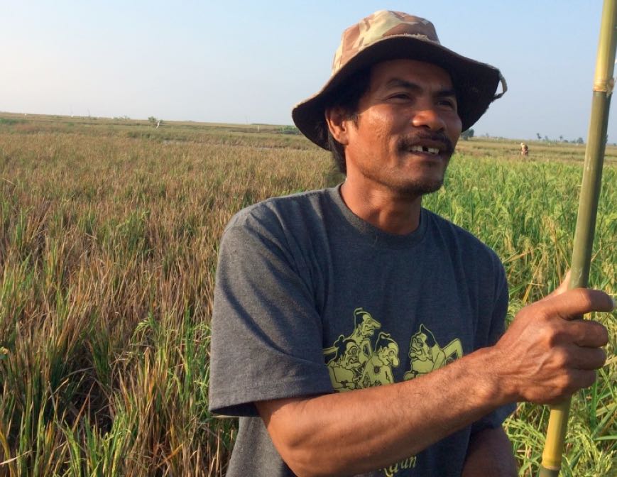 Petani Pembelajar: Ketika Yusuf Menjadi Satu-Satunya Petani Organik di Desanya