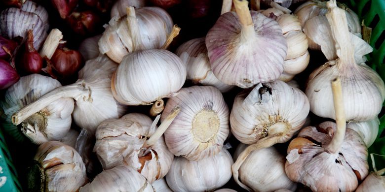 Ini Lokasi-lokasi yang Akan Dijadikan Sentra Bawang Putih
