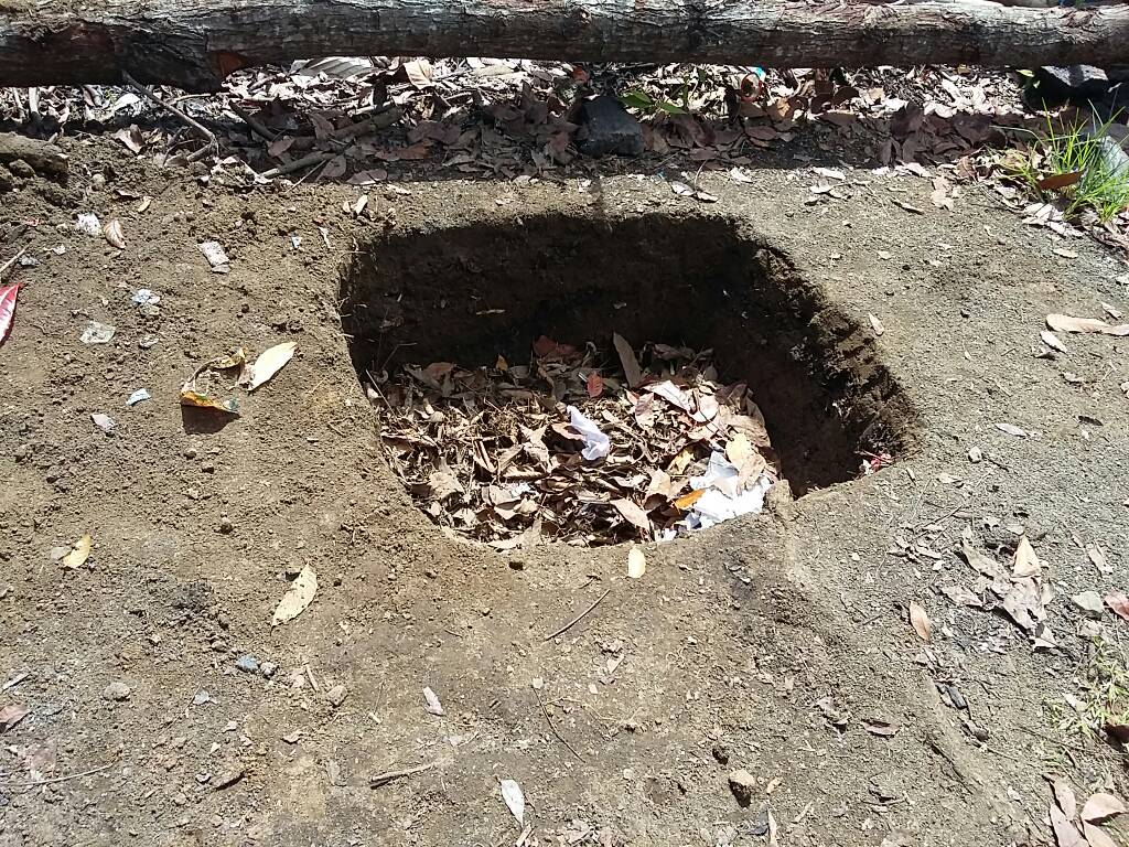 Belajar Membuat Kompos dari Sampah Organik. Seperti Apa?