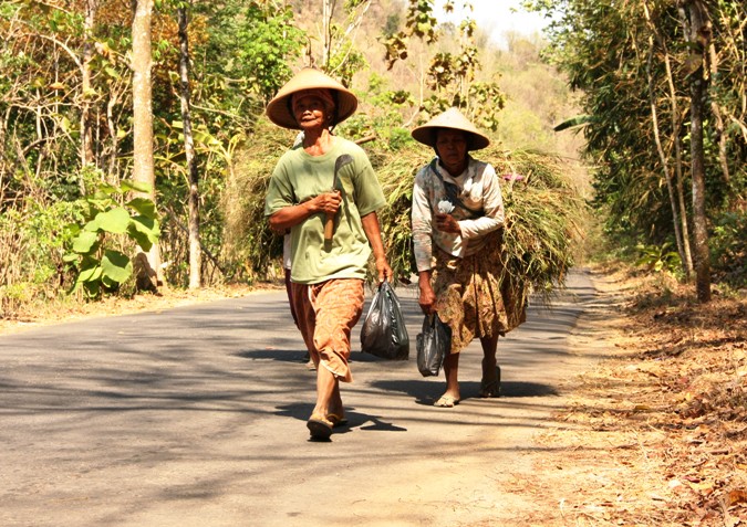 Membendung Urbanisasi dengan Bertani
