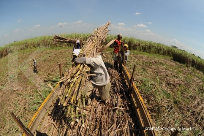 Pemerintah usul petani gula tebu bentuk koperasi