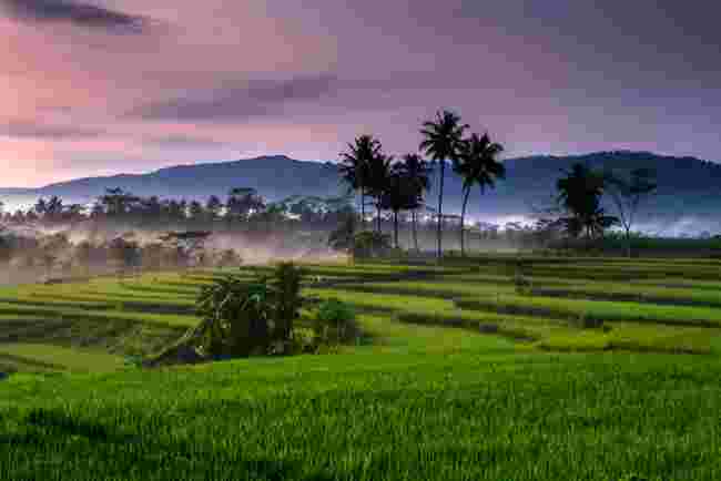 Bertani Jadi Atraksi Wisata Menarik di Desa Candran