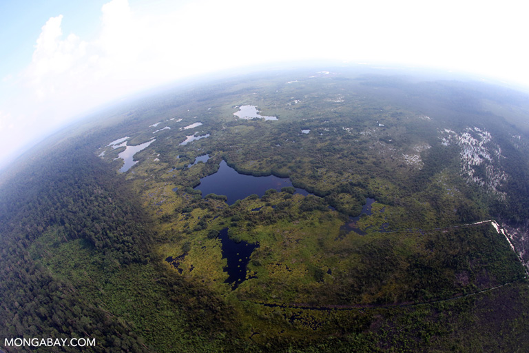 Siap Restorasi Gambut, Sumatera Selatan Tidak Ingin Salah Langkah